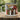 Retro Mushrooms Camp Cup
