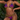 Dart Frog String Bikini Set