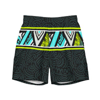 Surfer Stripe Mens Swim Trunks