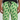 Pickles Mens Pajama Pants